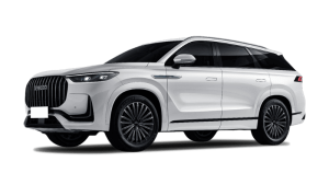 Renting Coches Jaecoo 8 - Exclusive